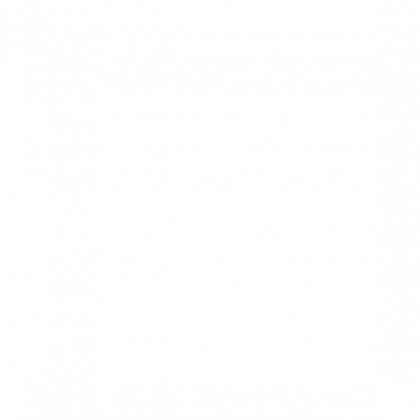 The Freedom Programme | Bristol Women's Voice